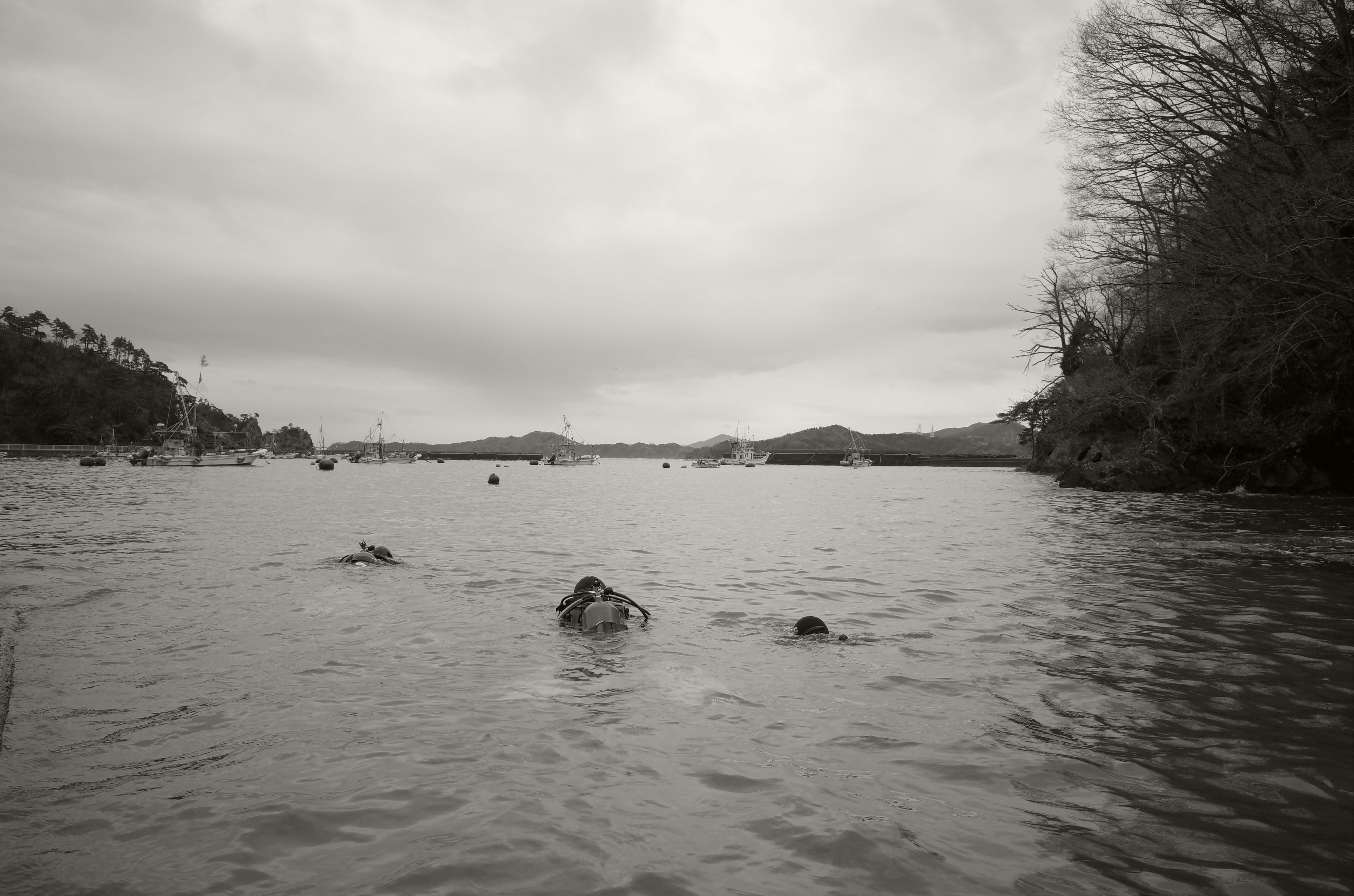 女川の海を撮ろう!