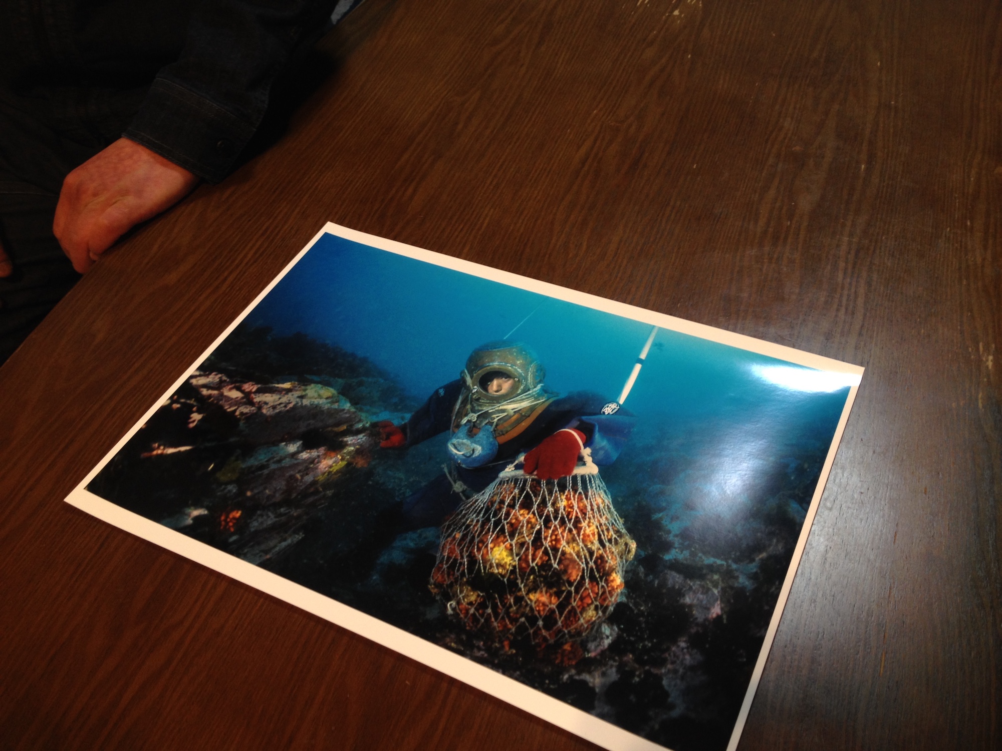 高砂淳二さんと一緒に水中写真撮影会!宮城石巻・女川の海に潜る